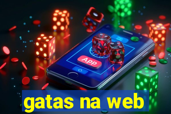 gatas na web